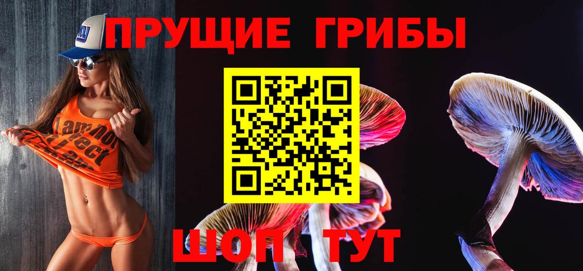 Псилоцибиновые грибы Psilocybe  наркошоп  Галлюциногенные грибы Psilocybine cubensis  Жуковский  Вход с VPN 